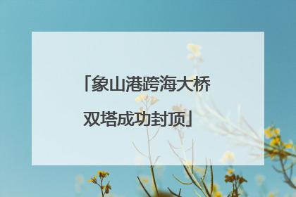 象山港跨海大桥双塔成功封顶
