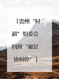 贵州“村超”组委会回应“被足协叫停”