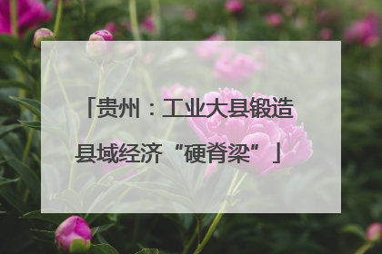 贵州：工业大县锻造县域经济“硬脊梁”