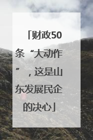 财政50条“大动作”，这是山东发展民企的决心