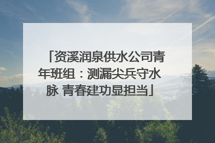 资溪润泉供水公司青年班组：测漏尖兵守水脉 青春建功显担当