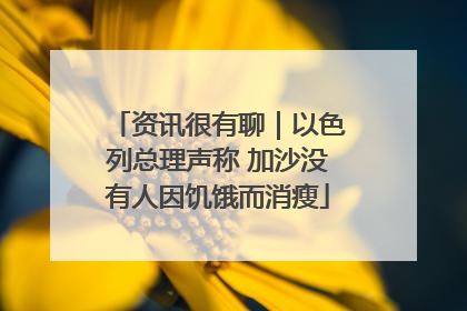 资讯很有聊｜以色列总理声称 加沙没有人因饥饿而消瘦