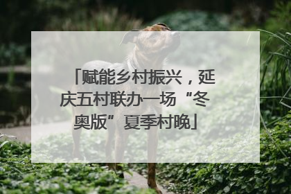 赋能乡村振兴，延庆五村联办一场“冬奥版”夏季村晚
