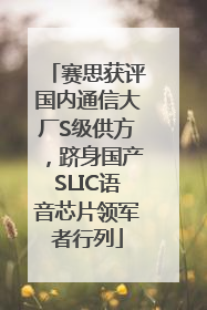 赛思获评国内通信大厂S级供方，跻身国产SLIC语音芯片领军者行列