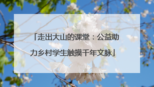 走出大山的课堂：公益助力乡村学生触摸千年文脉