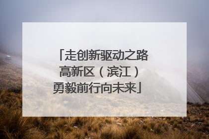 走创新驱动之路 高新区（滨江）勇毅前行向未来