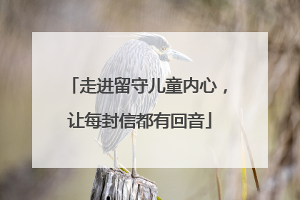走进留守儿童内心，让每封信都有回音