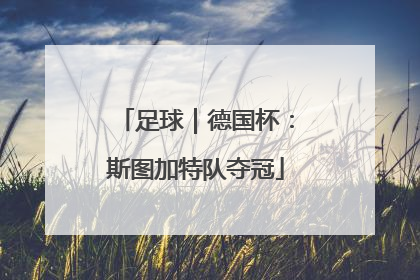 足球｜德国杯：斯图加特队夺冠