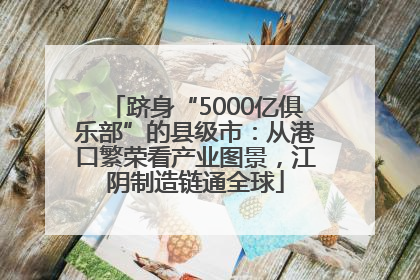 跻身“5000亿俱乐部”的县级市：从港口繁荣看产业图景，江阴制造链通全球