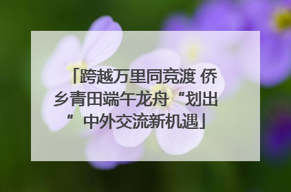 跨越万里同竞渡 侨乡青田端午龙舟“划出”中外交流新机遇