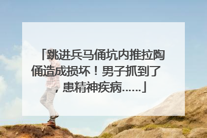 跳进兵马俑坑内推拉陶俑造成损坏！男子抓到了，患精神疾病……