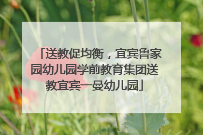 送教促均衡，宜宾鲁家园幼儿园学前教育集团送教宜宾一曼幼儿园