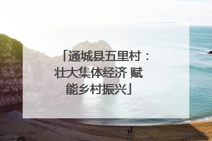 通城县五里村：壮大集体经济 赋能乡村振兴