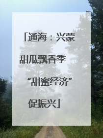 通海：兴蒙甜瓜飘香季 “甜蜜经济”促振兴
