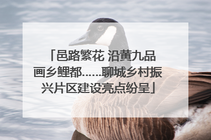邑路繁花 沿黄九品 画乡鲤都……聊城乡村振兴片区建设亮点纷呈