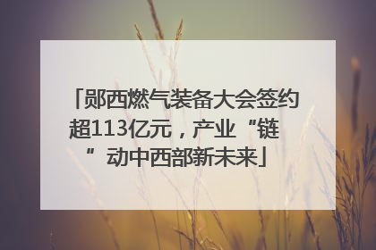 郧西燃气装备大会签约超113亿元，产业“链”动中西部新未来
