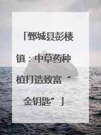 鄄城县彭楼镇：中草药种植打造致富“金钥匙”