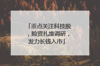重点关注科技股，险资扎堆调研，发力长钱入市