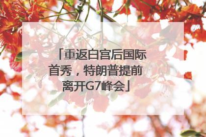 重返白宫后国际首秀，特朗普提前离开G7峰会