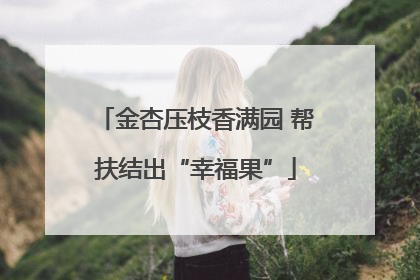 金杏压枝香满园 帮扶结出“幸福果”
