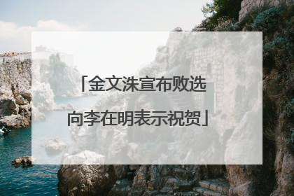 金文洙宣布败选 向李在明表示祝贺