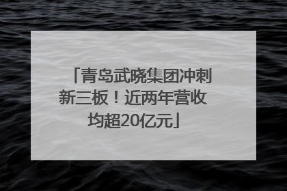青岛武晓集团冲刺新三板！近两年营收均超20亿元