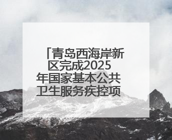 青岛西海岸新区完成2025年国家基本公共卫生服务疾控项目暨医防融合督导工作