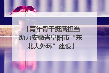 青年骨干挺膺担当 助力安徽省阜阳市“东北大外环”建设