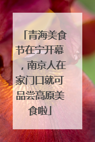 青海美食节在宁开幕，南京人在家门口就可品尝高原美食啦