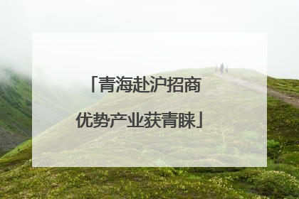 青海赴沪招商 优势产业获青睐