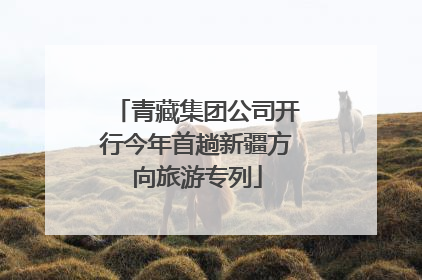 青藏集团公司开行今年首趟新疆方向旅游专列