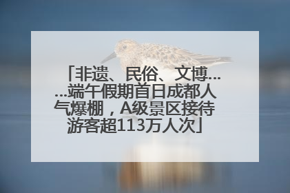 非遗、民俗、文博……端午假期首日成都人气爆棚，A级景区接待游客超113万人次