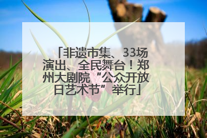 非遗市集、33场演出、全民舞台！郑州大剧院“公众开放日艺术节”举行