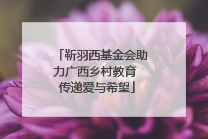 靳羽西基金会助力广西乡村教育 传递爱与希望