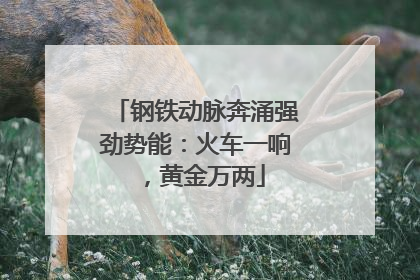 钢铁动脉奔涌强劲势能：火车一响，黄金万两