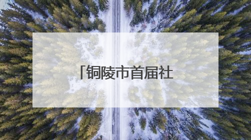 铜陵市首届社会工作者职业技能竞赛在铜陵学院成功举办