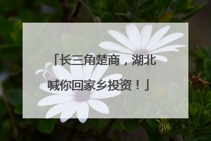 长三角楚商，湖北喊你回家乡投资！