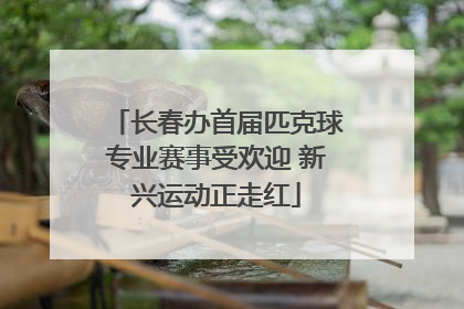 长春办首届匹克球专业赛事受欢迎 新兴运动正走红