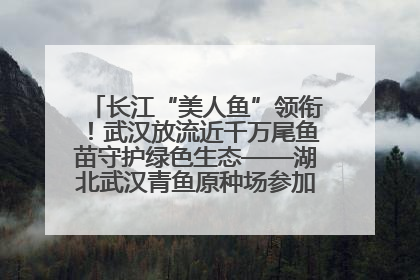 长江“美人鱼”领衔！武汉放流近千万尾鱼苗守护绿色生态——湖北武汉青鱼原种场参加2025年“全国放鱼日”增殖放流活动