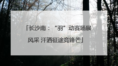 长沙南：“羽”动赛场展风采 汗洒征途竞锋芒