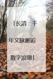 长清：千年文脉邂逅数字浪潮