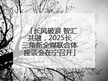 长风破浪 智汇共融，2025长三角新全媒联合体座谈会在宁召开