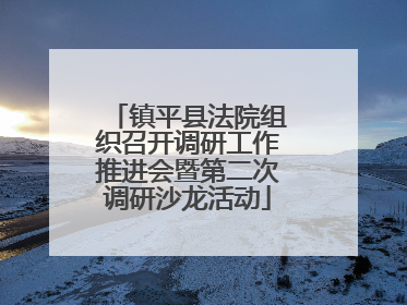 镇平县法院组织召开调研工作推进会暨第二次调研沙龙活动