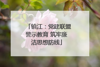 镇江：党建联盟警示教育 筑牢廉洁思想防线