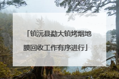 镇沅县勐大镇烤烟地膜回收工作有序进行
