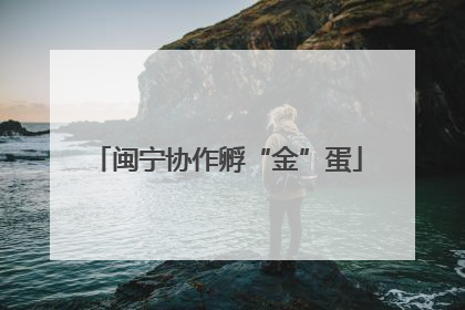 闽宁协作孵“金”蛋