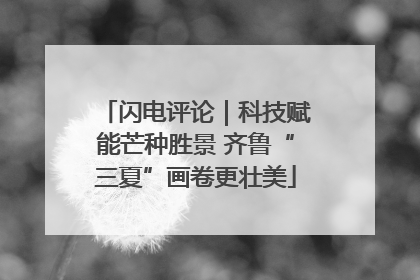 闪电评论｜科技赋能芒种胜景 齐鲁“三夏”画卷更壮美
