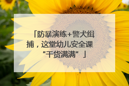 防暴演练+警犬缉捕，这堂幼儿安全课“干货满满”