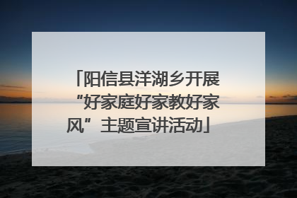 阳信县洋湖乡开展“好家庭好家教好家风”主题宣讲活动
