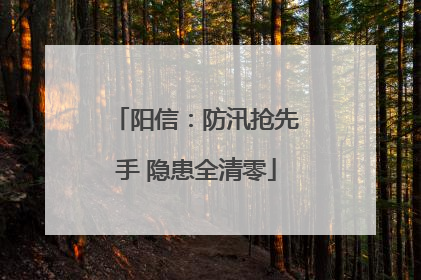 阳信：防汛抢先手 隐患全清零